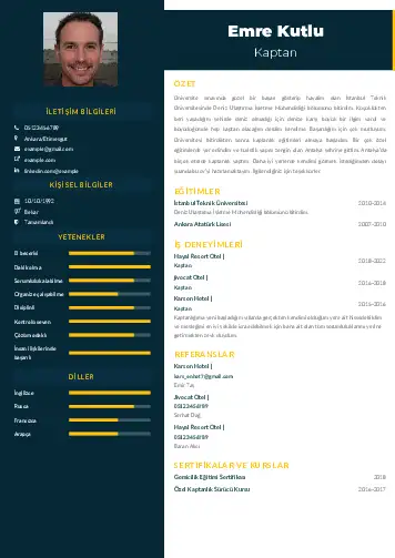 cv indir